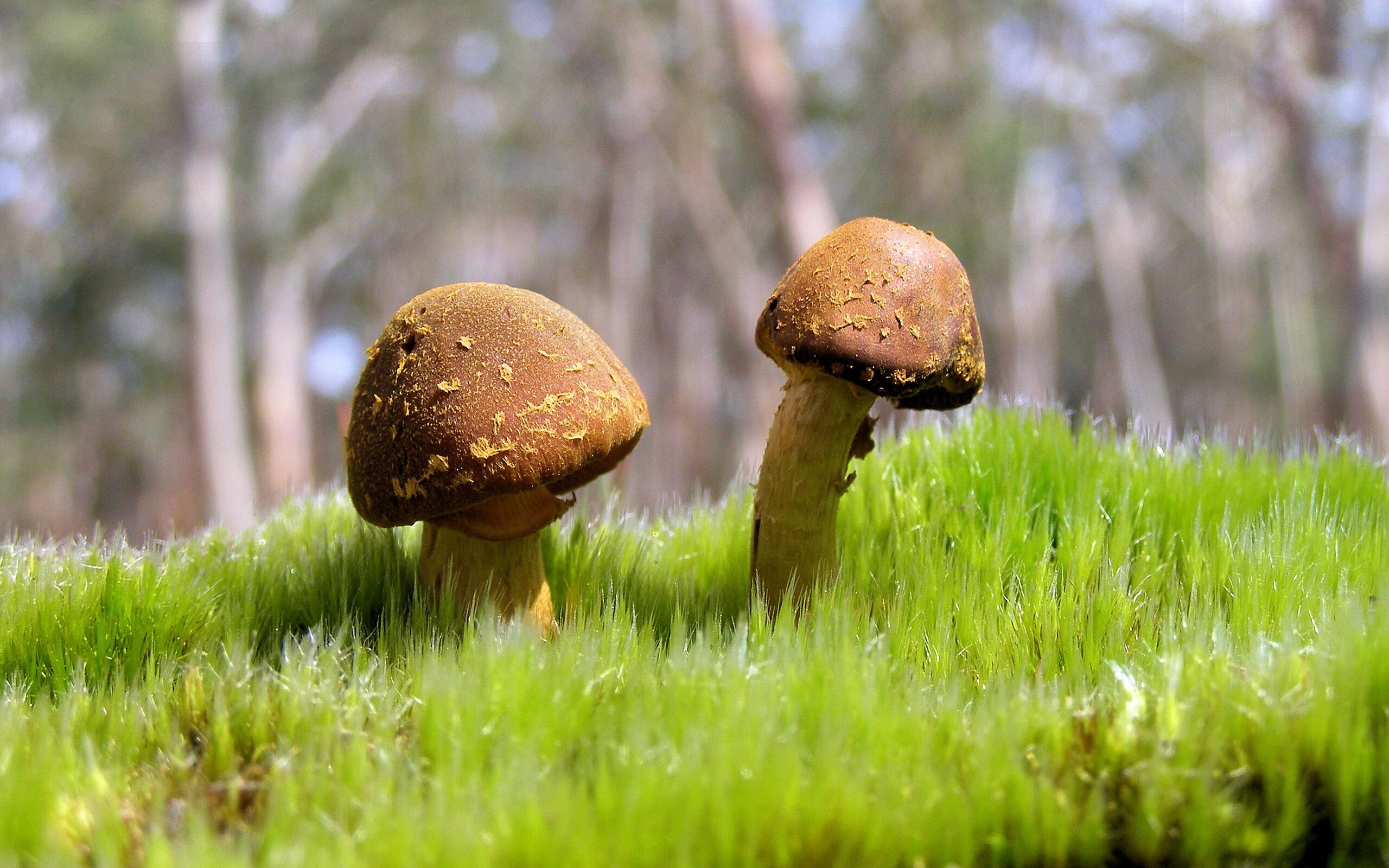 爱游戏电竞官方网站-WRC比赛精彩回放:不容错过的瞬间集锦,哪里看wrc比赛