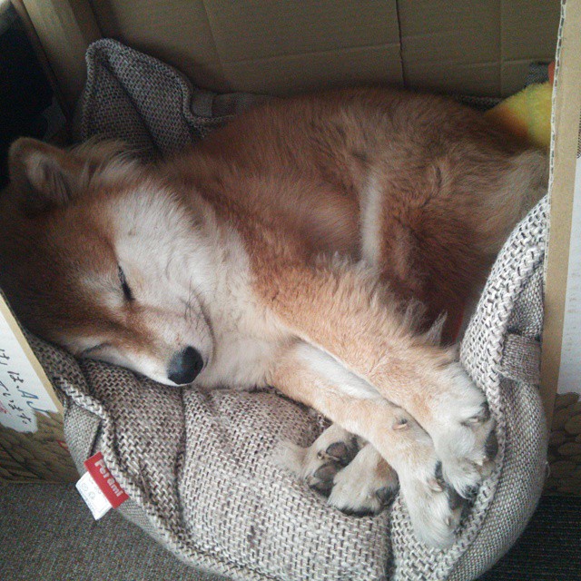 爱游戏电竞官方网站-WRC比赛精彩回放:不容错过的瞬间集锦,哪里看wrc比赛