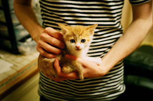 爱游戏智能平台-“荒野追逐:穿越山谷与沙漠的极速之战”,荒野追踪电影剧情女主背叛