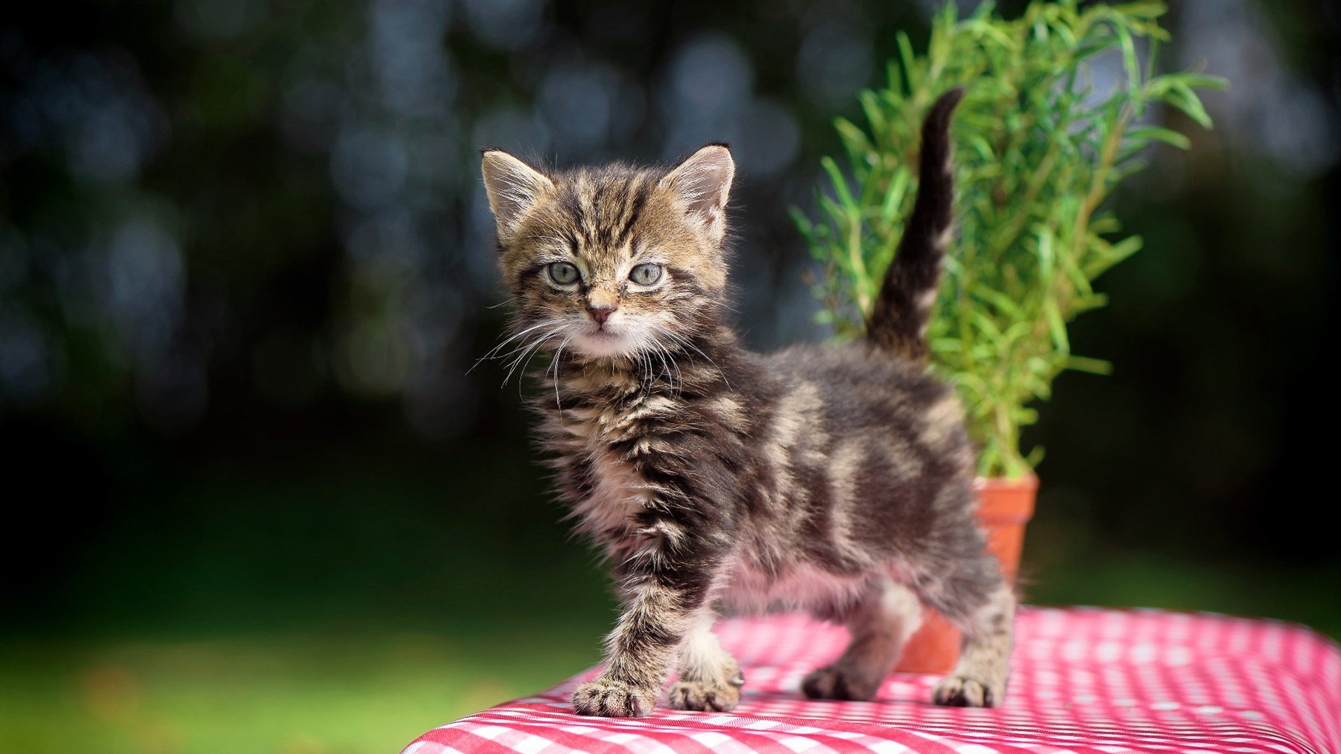 爱游戏体育平台-《《堡垒之夜》新季节引入科幻元素，未来城市全面开启》，堡垒之夜简介
